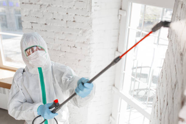 Best Comprehensive Air Testing for Mold Contaminants  in Lillian, AL