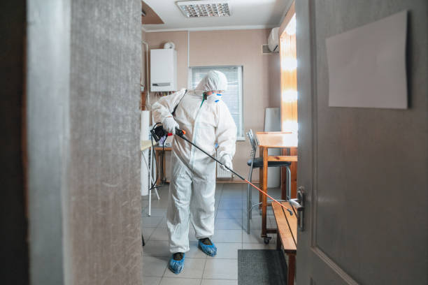 Best Mold Removal for HVAC Installations  in Lillian, AL
