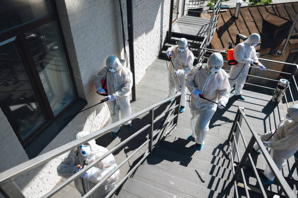 Best Commercial Mold Inspection  in Lillian, AL