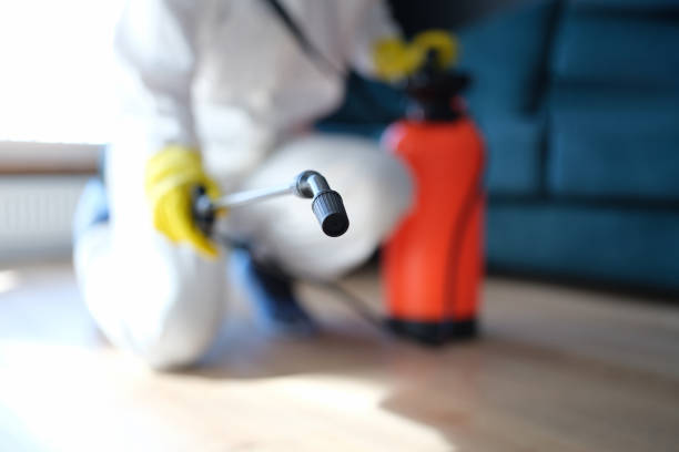 Best Industrial Mold Remediation  in Lillian, AL