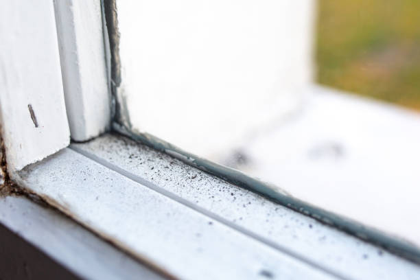 Best Residential Mold Inspection & Testing  in Lillian, AL