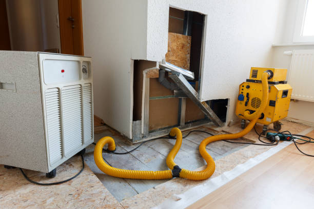 Best Emergency Mold Remediation  in Lillian, AL