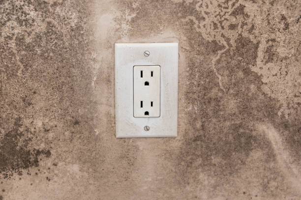 Best Dehumidification Services  in Lillian, AL