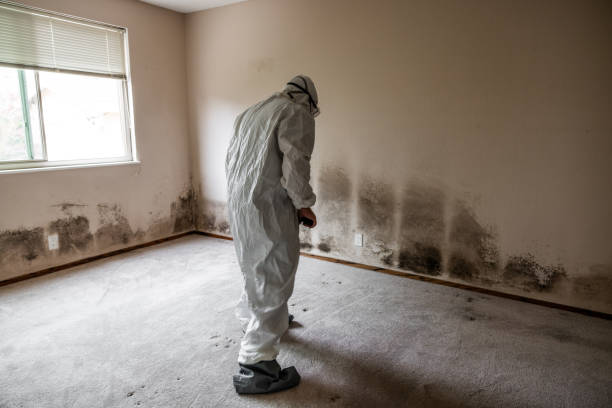Best Crawl Space Mold Remediation  in Lillian, AL
