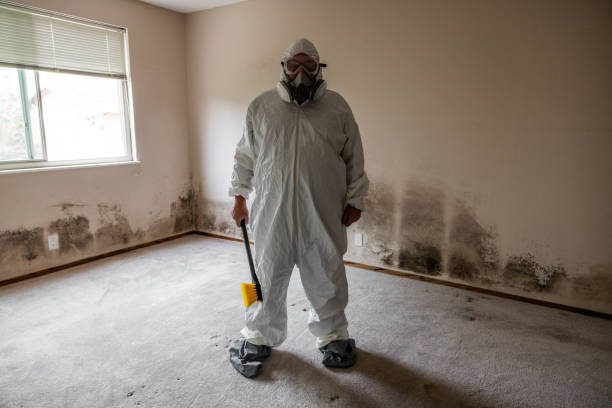 Best Asbestos and Lead Testing During Mold Inspection  in Lillian, AL