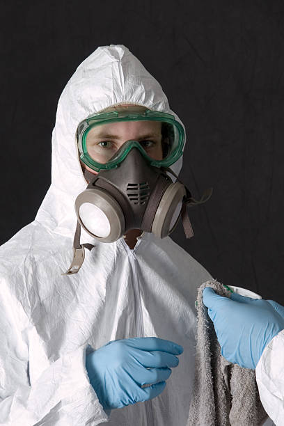 Best Black Mold Removal  in Lillian, AL